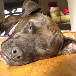 Meet your Posher, Rae